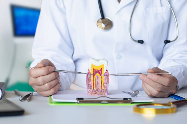 Professional Emergency Dental Service in OH